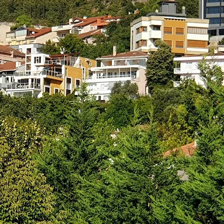 Appartement شقق بورصة *